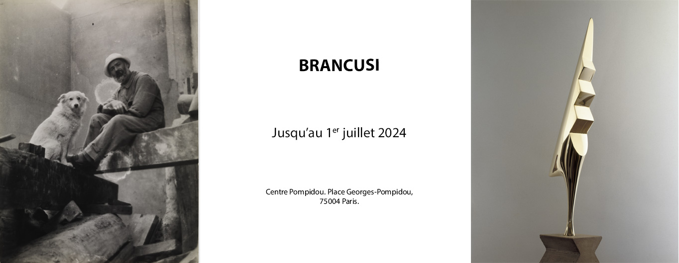 Brancusi-Lunettes-Galerie-Vig-c-Centre-Georges-Pompidou