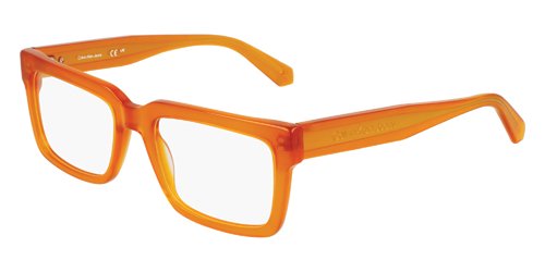 Lunettes Calvin Klein CKJ246165319201