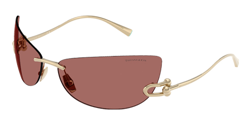 Lunettes Tiffany & Co by EssilorLuxottica.