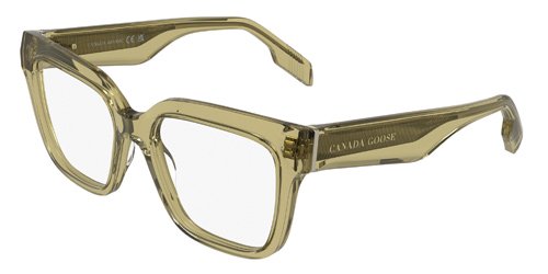 Lunettes Canada Goose by Marchon - Modèle GC25612E5317210.