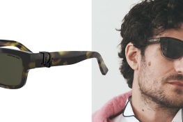 Louis Garrel